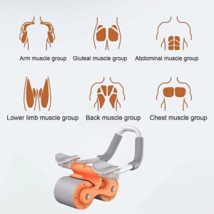 Abdominal Roller